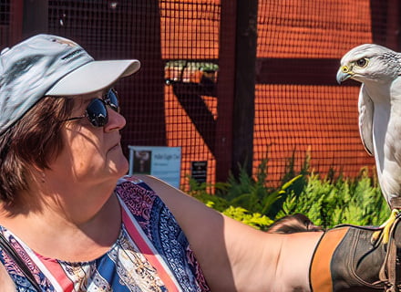 monmouthshire flooring testimonial